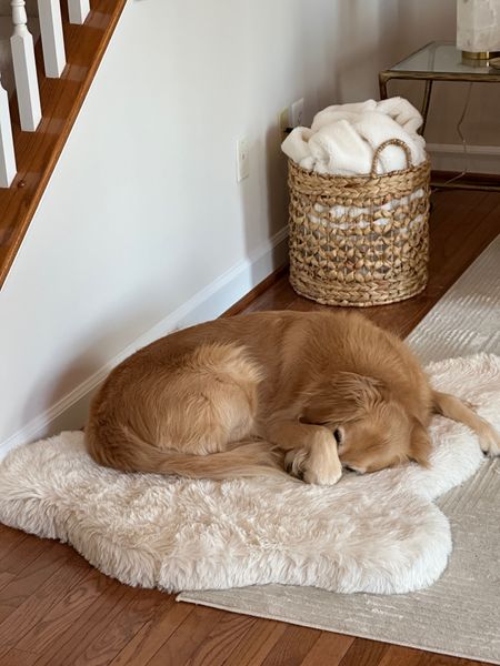 Bentley loves his furry bed and so do I. Machine washable and a protective liner!