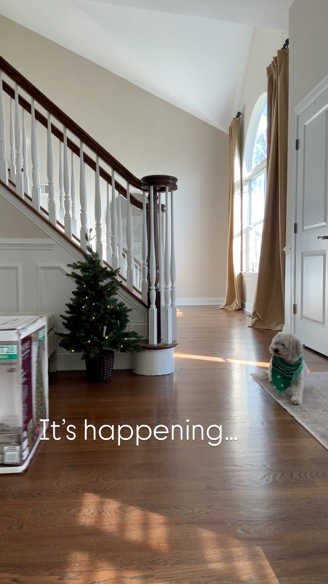 Twinkling light Christmas tree incoming ✨
 


Target
Holiday Decor
Home Depot
Grand duchess
LED lights
Holiday
Home decor
Cozy home
Modern Christmas
Vintage Christmas
Viral Home Depot tree
Christmas tree
Upholstered Bench
Mini trees 

#LTKSeasonal #LTKHome #LTKHoliday