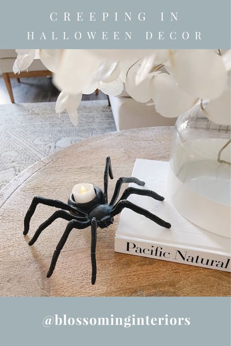 Creeping some Halloween décor into our home. These little spider tea light holders were too cute to pass up! 

#LTKhome #LTKSeasonal #LTKHalloween