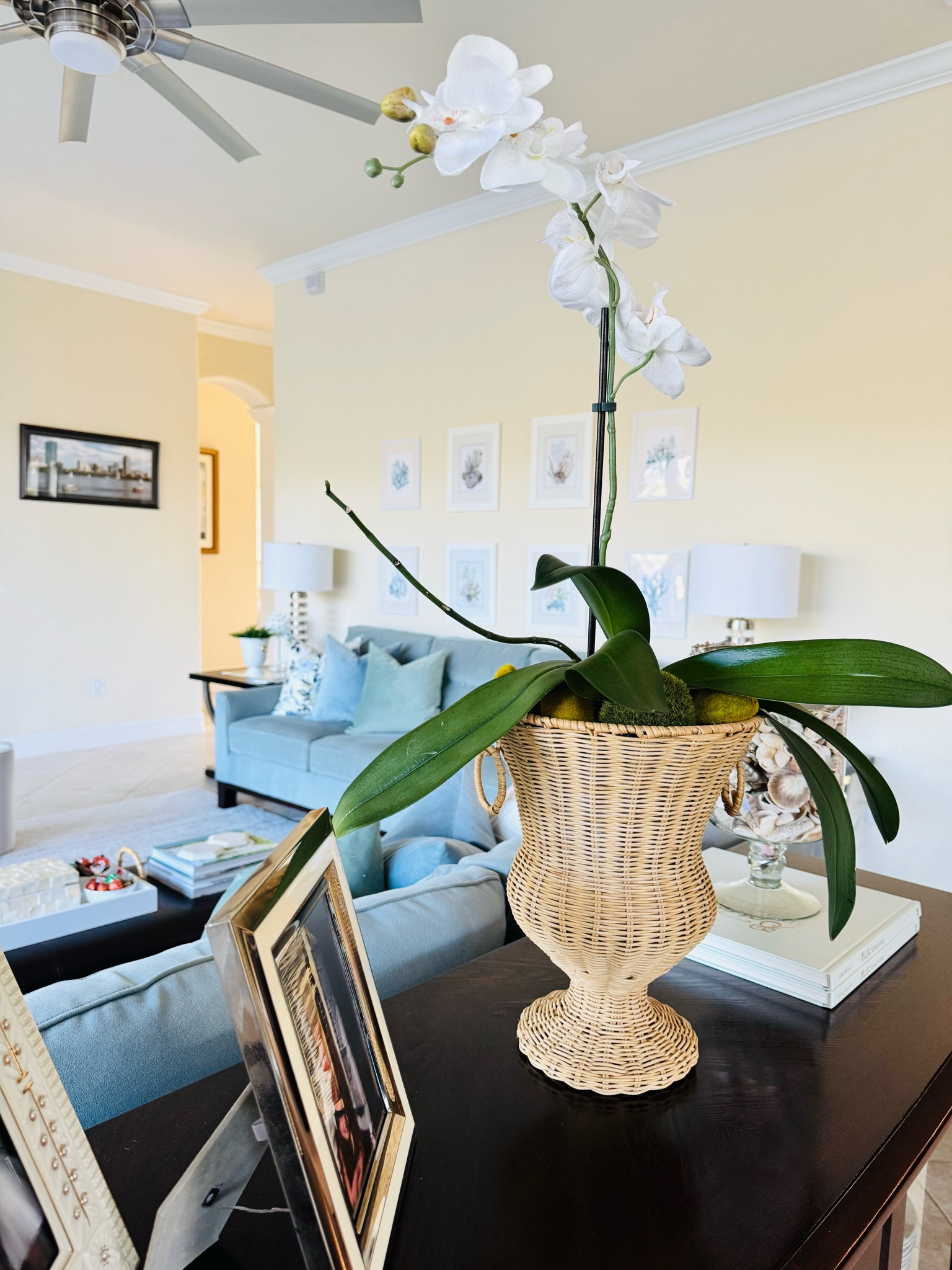 Gorgeous Rattan Urn Vases & Planters! This one looks stunning in my family room!

Home Decor | Spring Decor 

#LTKStyleTip #LTKSeasonal #LTKHome