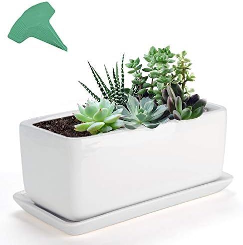 GROWNEER 10 Inches Rectangular White Ceramic Succulent Planter Pot Window Box Flower Pots with 15... | Amazon (US)