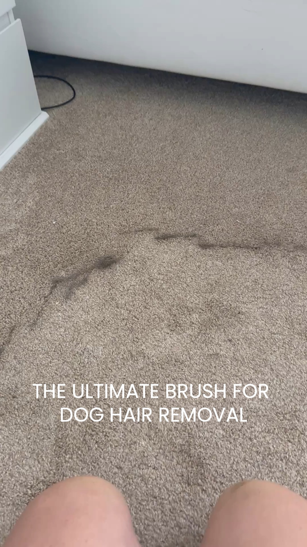 Thought the carpet was clean… until this brush said otherwise 😳🐶 if you’ve got dogs (and/or cats), you need this brush!!

#LTKFindsUnder50 #LTKHome #LTKPets