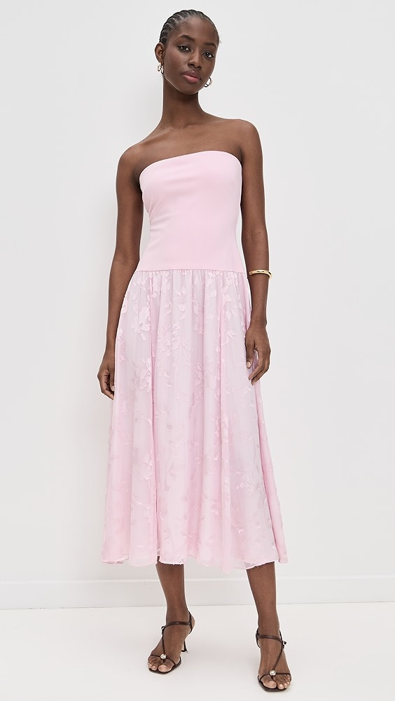 CAMI NYC Bari Dress | Shopbop | Shopbop