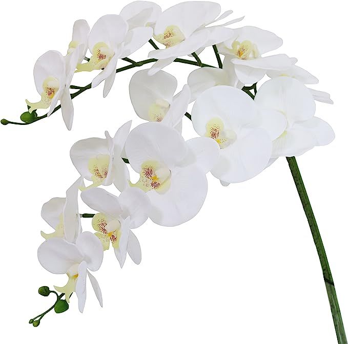Htmeing 38 Inch Artificial Phalaenopsis Flowers Branches Real Touch (Not Silk) Orchids Flowers fo... | Amazon (US)