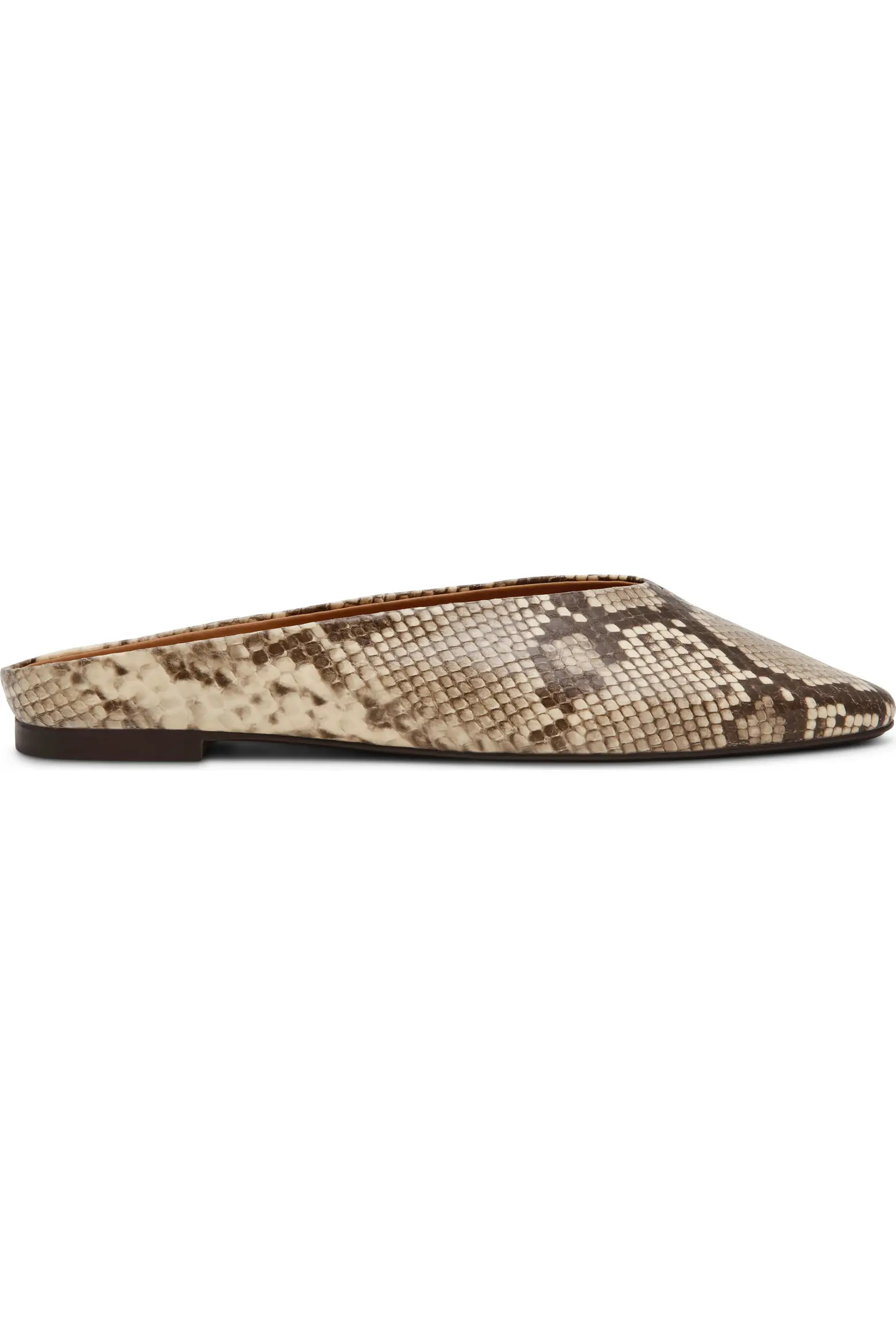 Steve Madden Sherman Mule (Women) | Nordstrom | Nordstrom