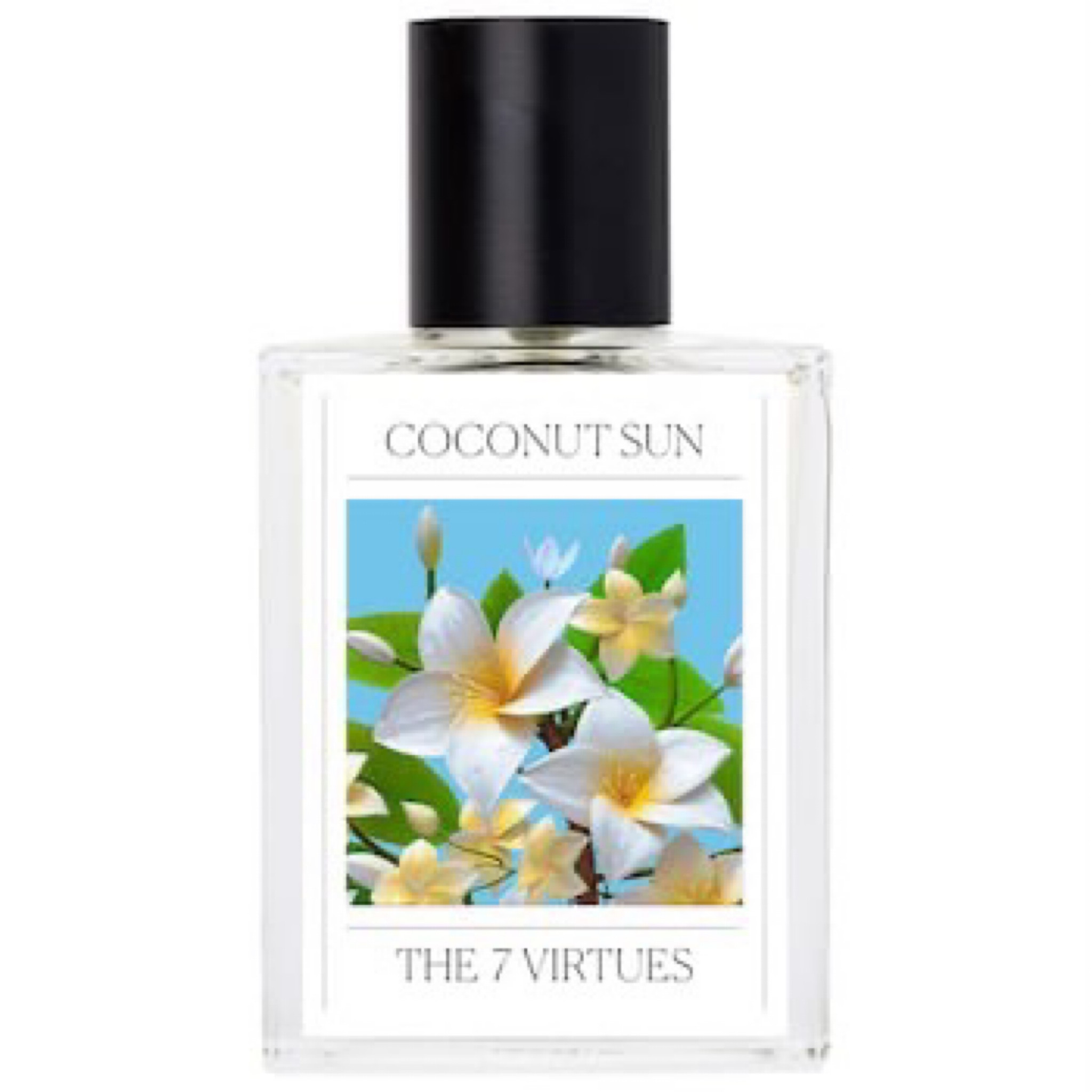 NEW fragrance from The 7 Virtues “Coconut Sun”. Notes perfect for spring and summer with coconut water, frangipani, sea salt and gourmand vanilla. Also available in a travel spray. 

#LTKunder100 #LTKbeauty #LTKSeasonal