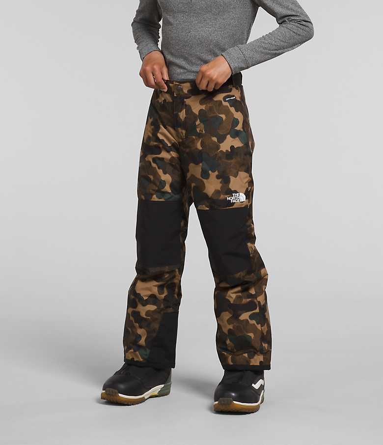 Boys’ Freedom Insulated Pants | The North Face | The North Face (US)