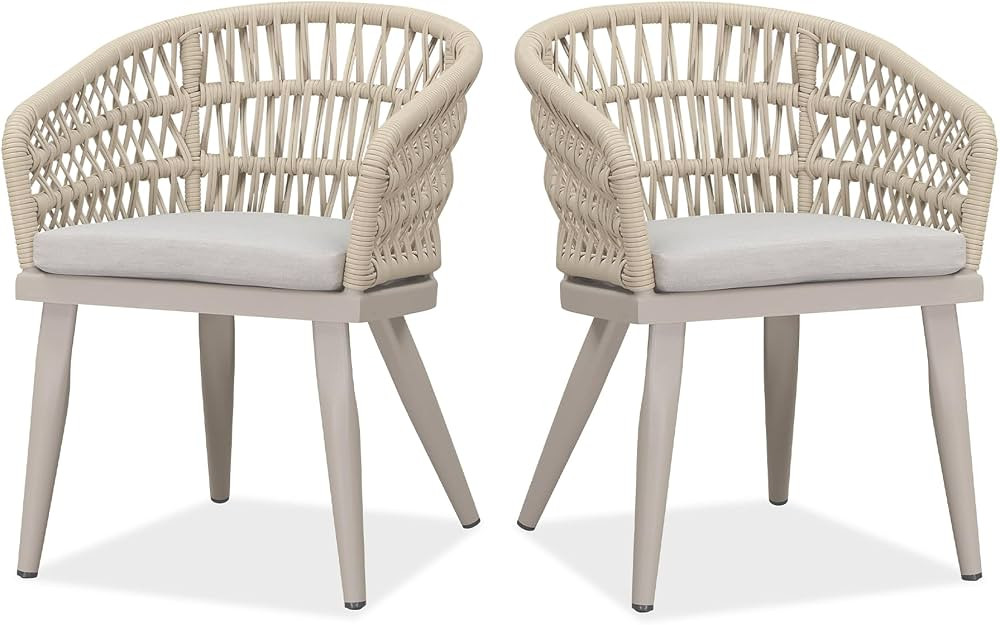 PURPLE LEAF 2 Pieces Patio Dining Chair All-Weather PE Rattan Aluminum Frame for Lawn Garden Back... | Amazon (US)