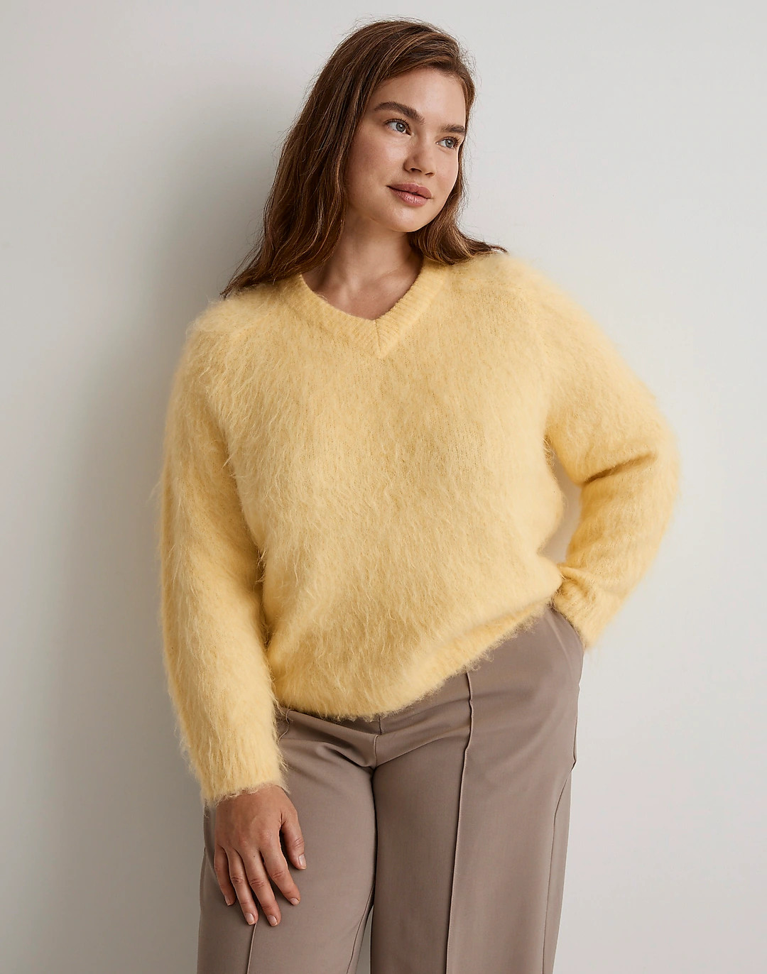 Plus Brushed V-Neck Sweater | Madewell