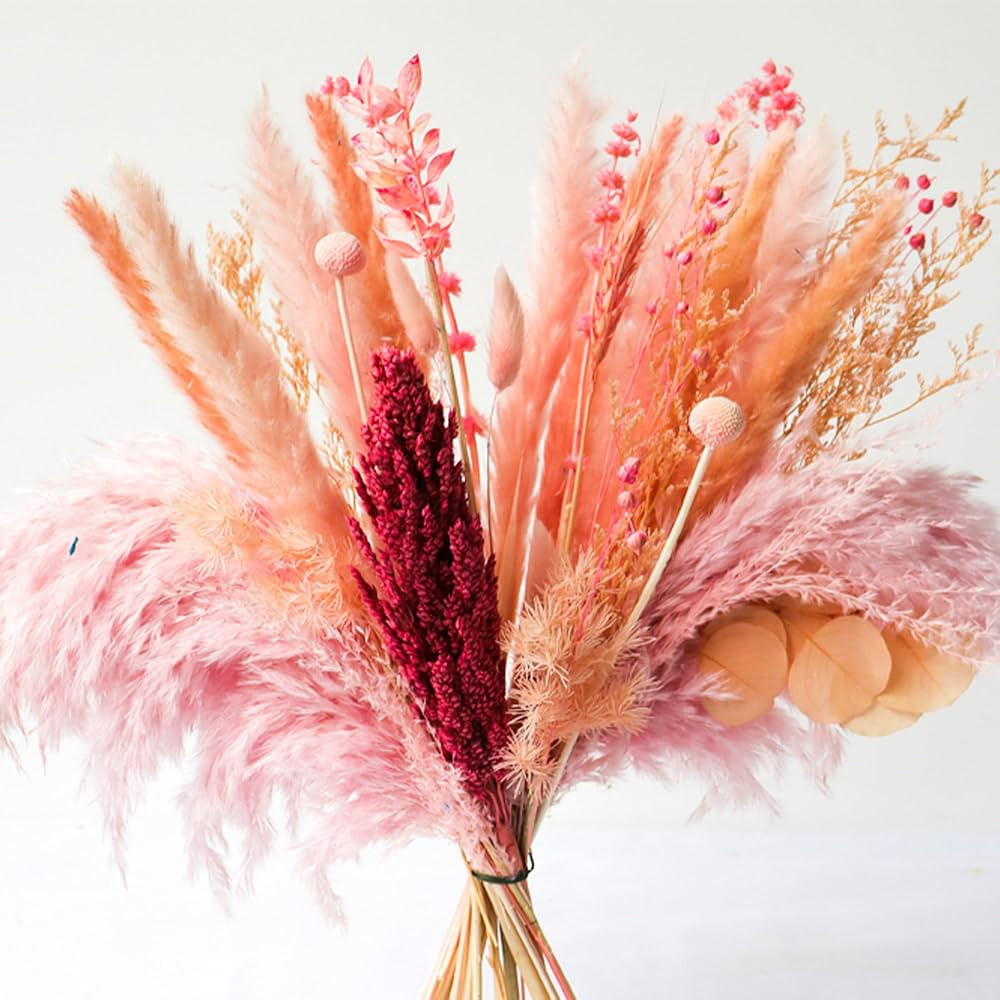 Pink Natural Dried Pampas Grass Bouquet, 17 Inch Blush Pink Pampas Grass Decor Dried Flower Arran... | Amazon (US)