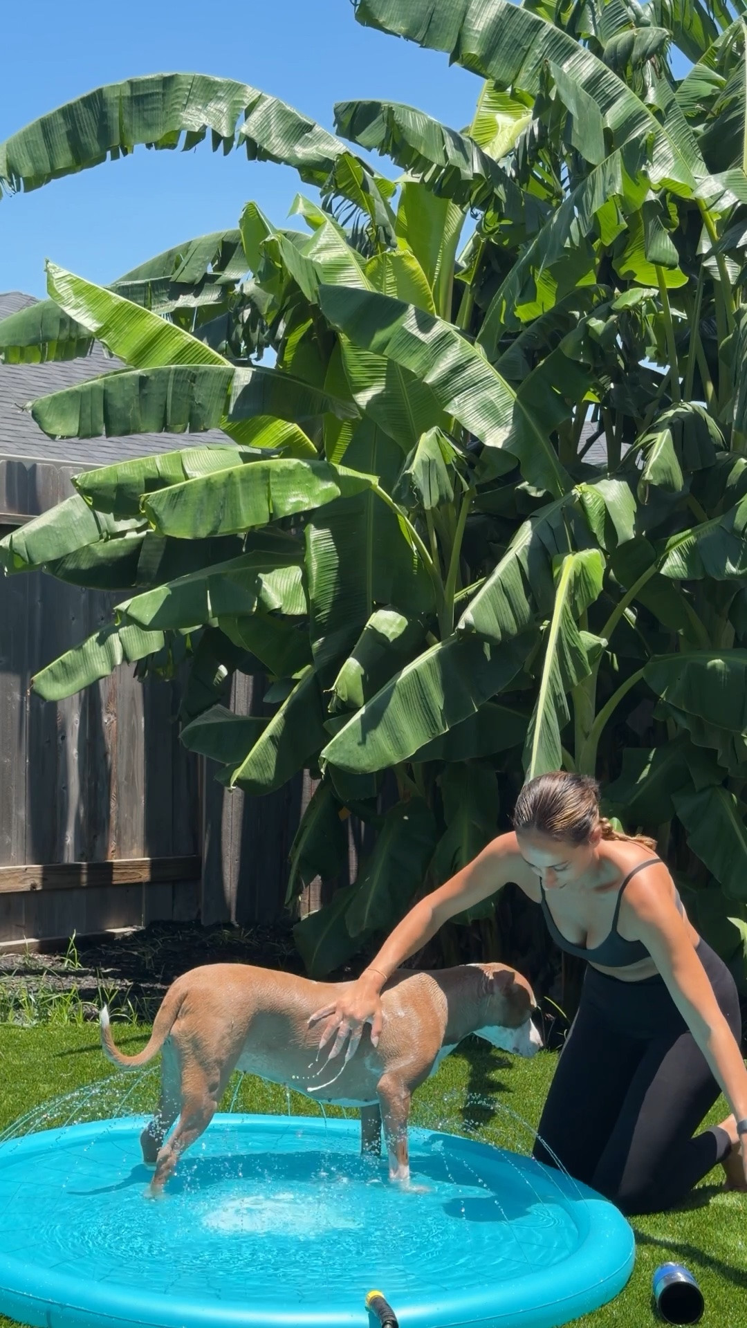 pup sprinkler