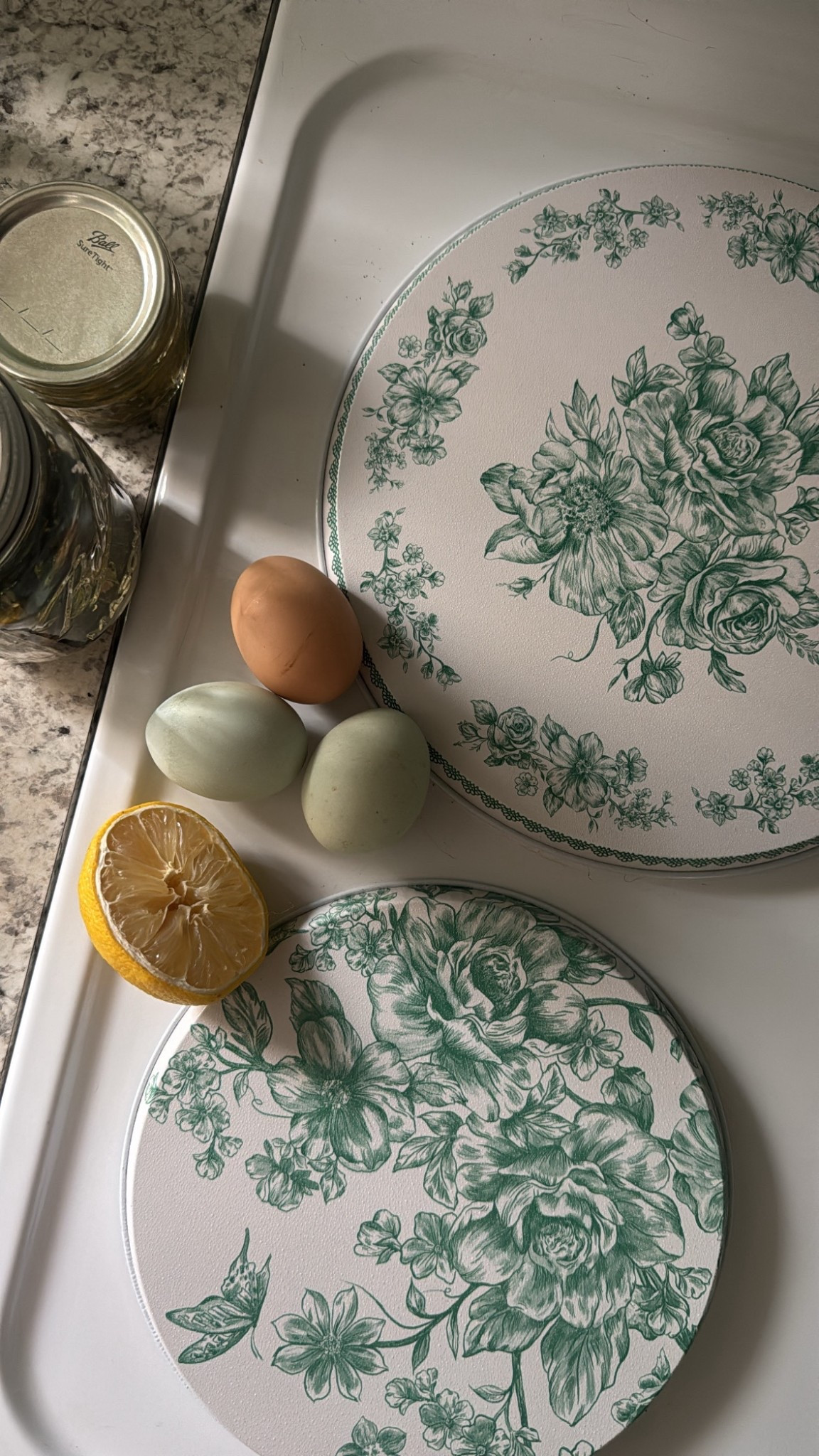 Stovetop burner covers from Walmart🌿🪺

Farmhouse | Floral | Rustic | Country | Kitchen | Homestead | Green