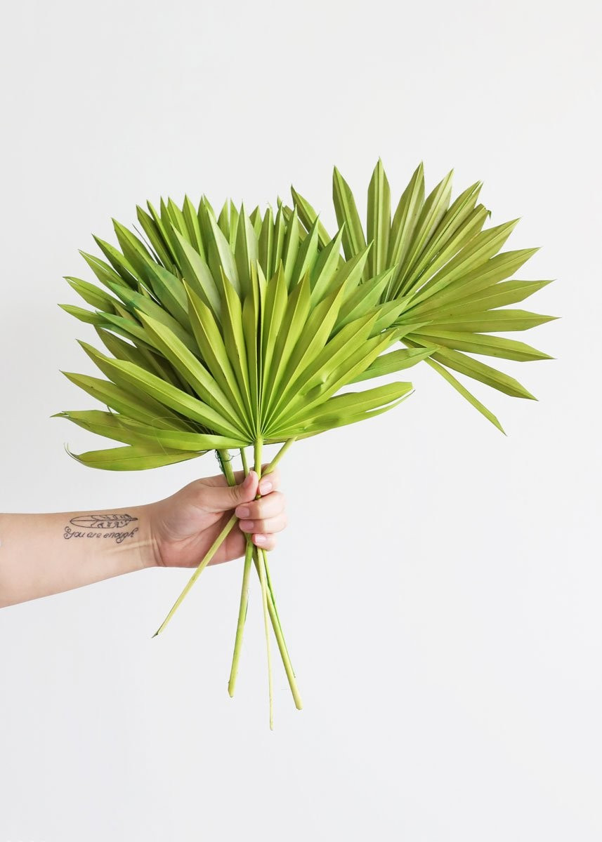 Pack of 5 - Green Sun Palms | Afloral (US)