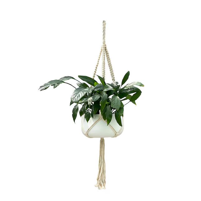 allen + roth 1.4-in White Macrame Plant Hook(s) | Lowe's