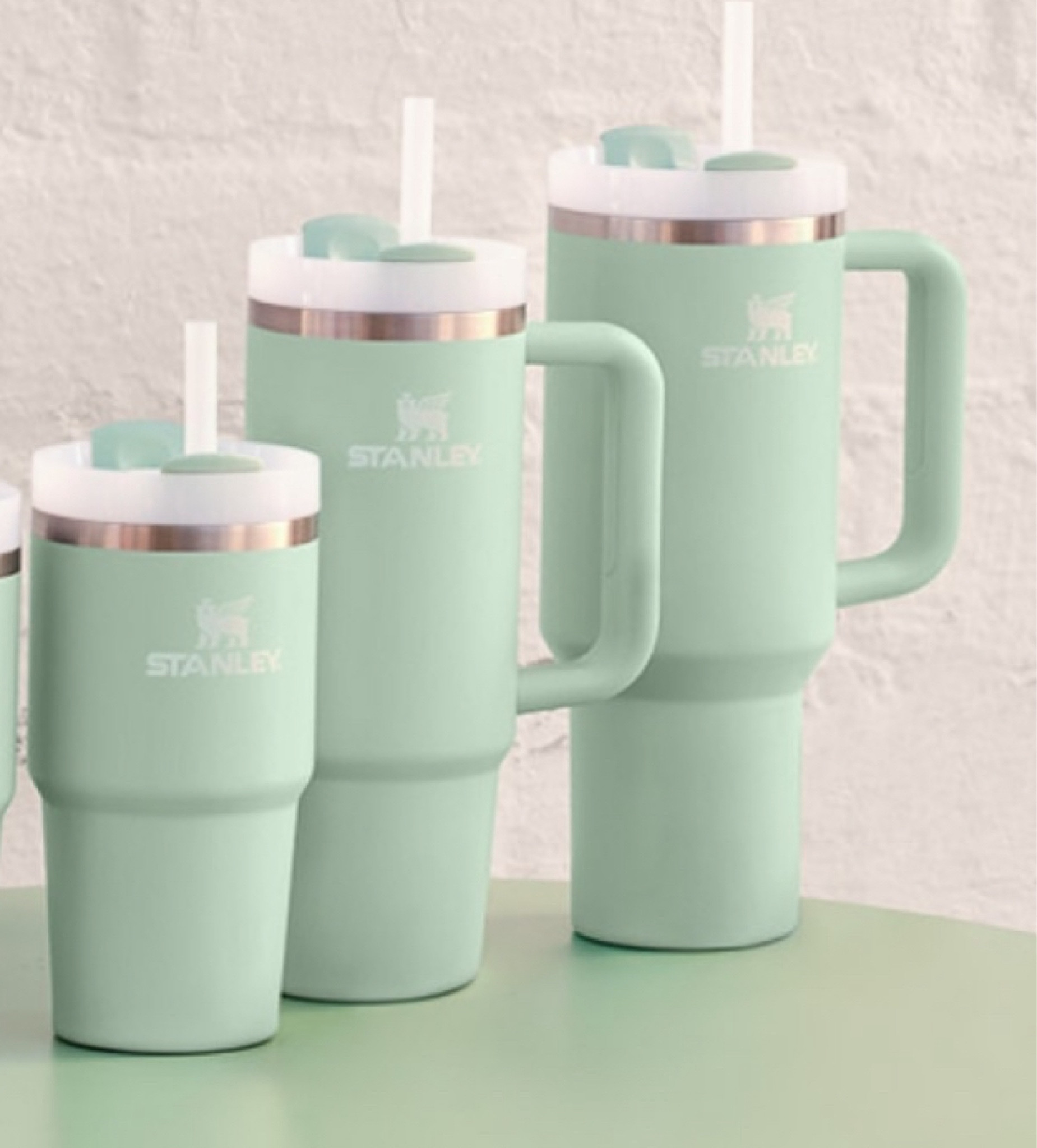 STANLEY Matcha collection 🍵

#LTKGiftGuide #LTKSeasonal #LTKU