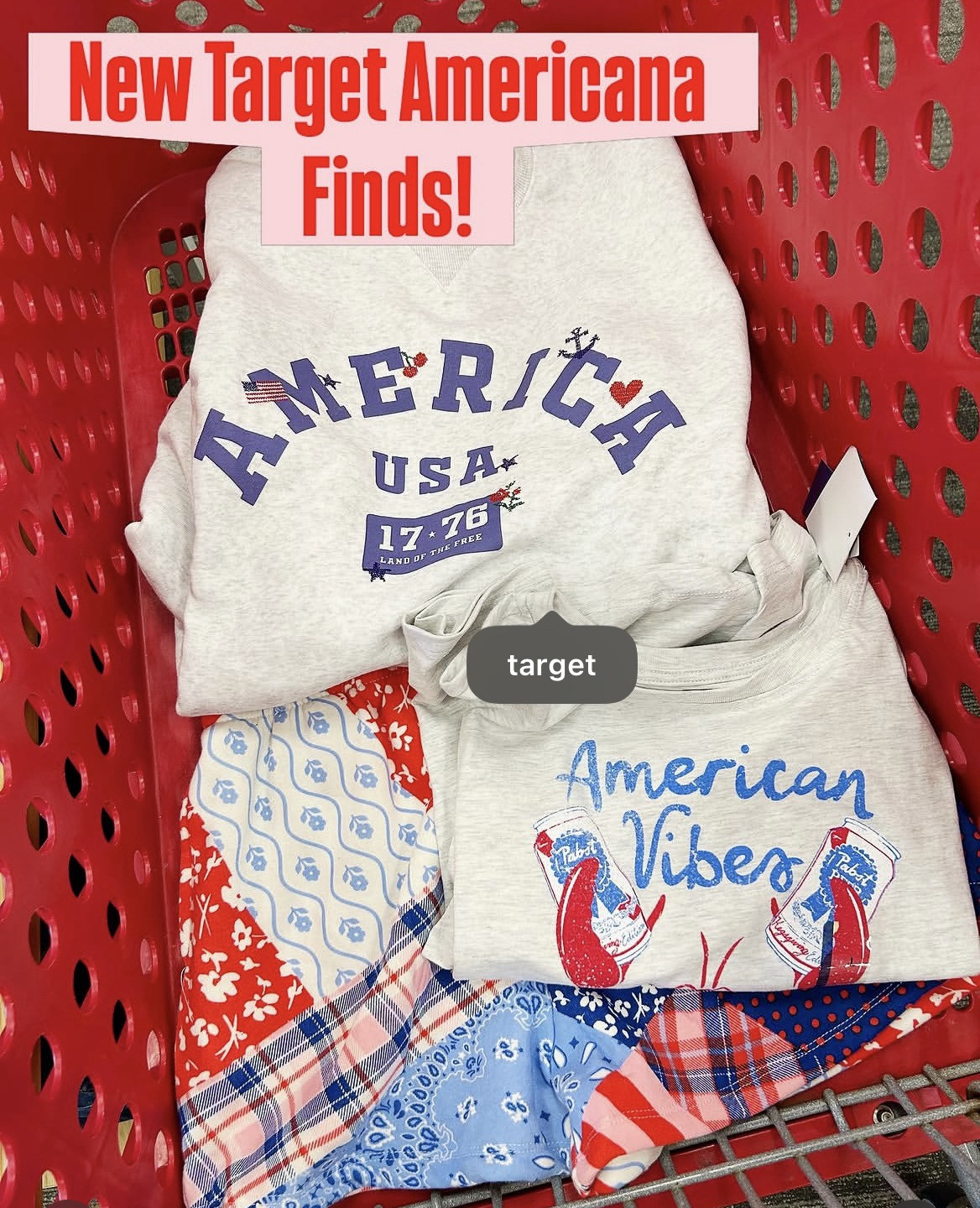 Classic Americana style has always been a favorite of mine, and I’m so excited about the new @target finds I recently spotted in store! ❤️💙🩵 From apparel to home finds to snacks, these items are sure to fly! 🇺🇸 

#LTKootd #LTKHome #LTKSeasonal