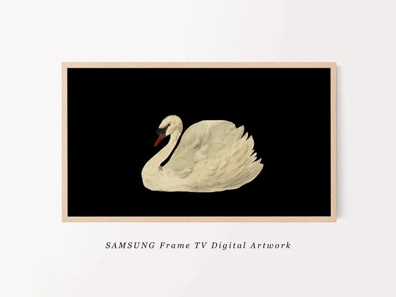 Antique Swan Painting for TV | 19th Century Art | Vintage Artwork for Samsung Frame TV | Digital ... | Etsy (US)