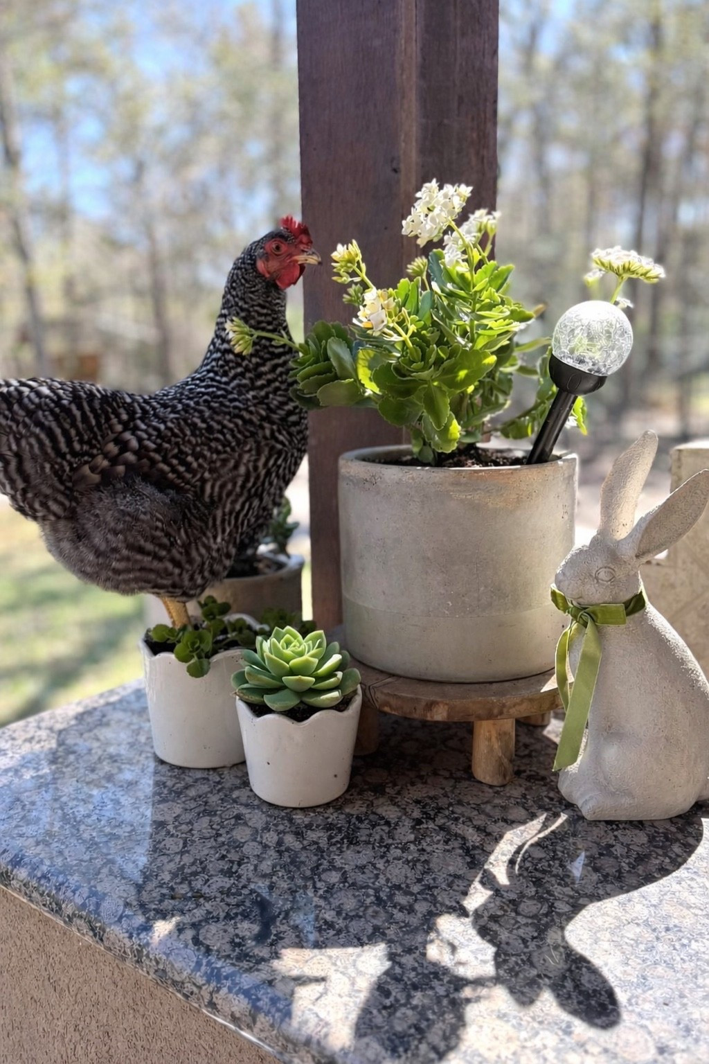 Planted pots
Walmart spring finds