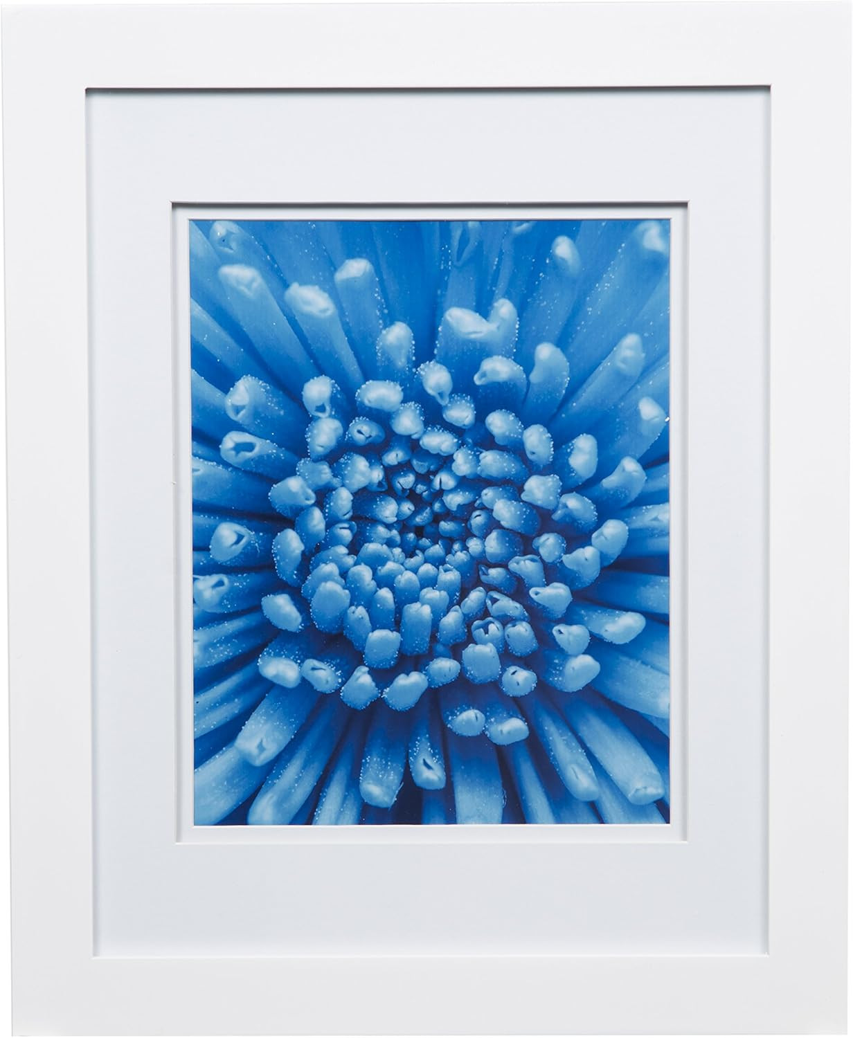 Snap 17FW1485 11x14 Flat Double Mat for 8x10 Photo, Wall Mount Picture Frame, 8" x 10", White | Amazon (US)