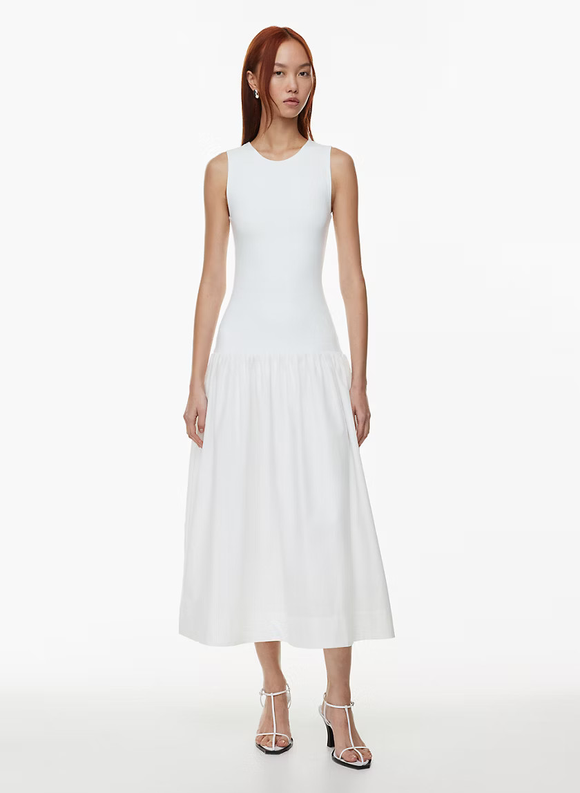 WORLDLY DRESS | Aritzia