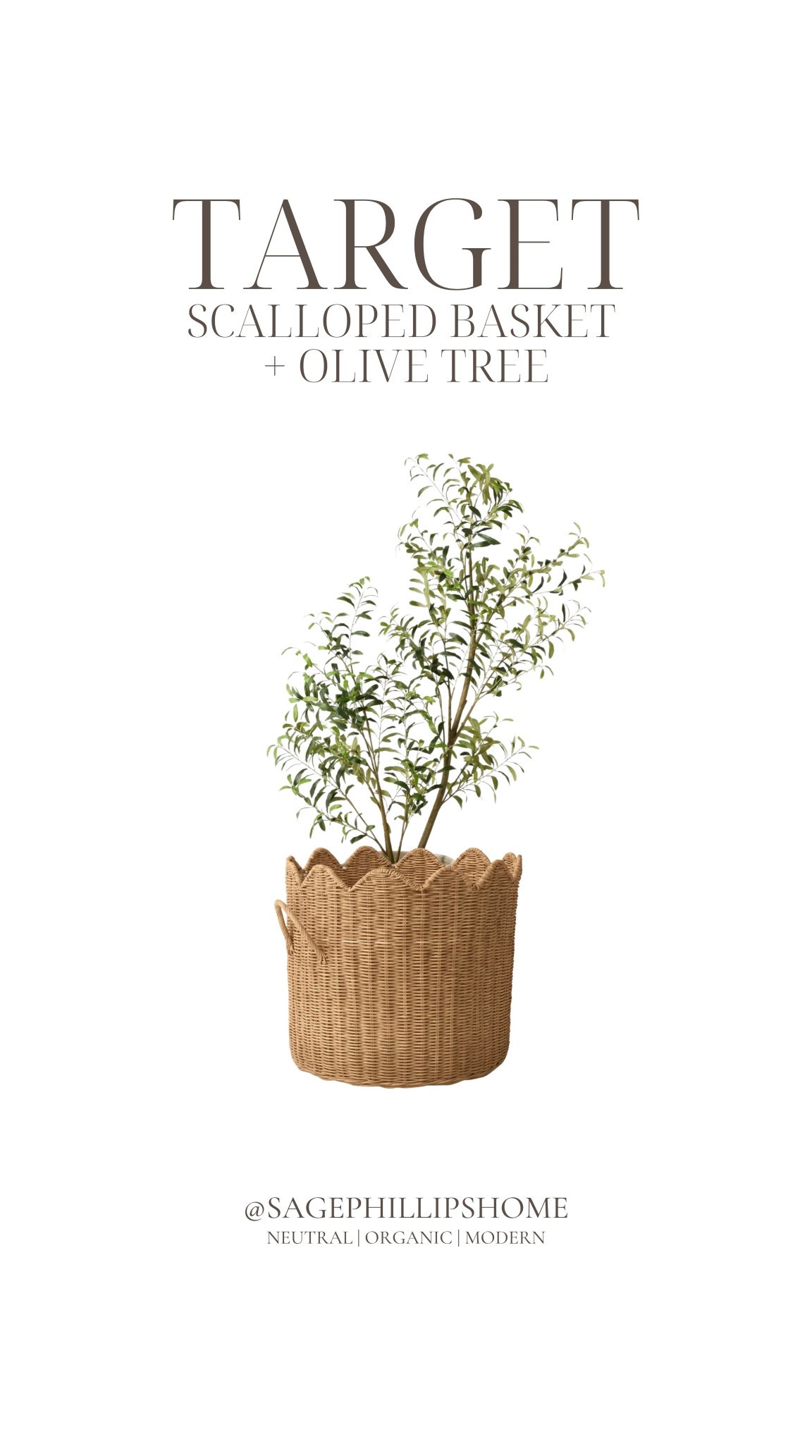 but this duo??? 🤎🌿

The scalloped basket + the olive tree is SUCH a moment. 

This is how you take a simple faux tree and make it feel curated instead of store-bought. The basket adds softness, height, and that organic layered look.

This combo is spring-ready 

#LTKhome #LTKsale #LTKstyletip