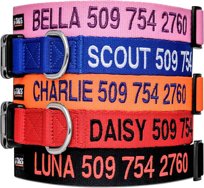 GoTags Personalized Dog Collar, Custom Embroidered with Pet Name and Phone Number in Blue, Black,... | Amazon (US)