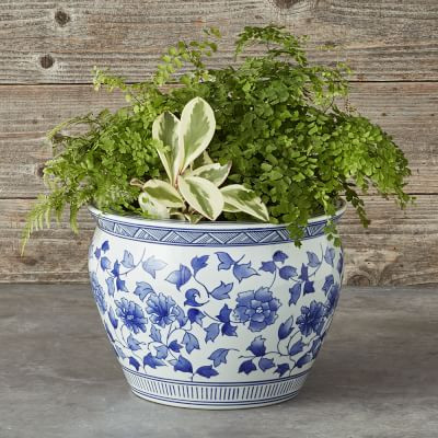 Blue & White Ceramic Planter, Large | Williams Sonoma | Williams-Sonoma
