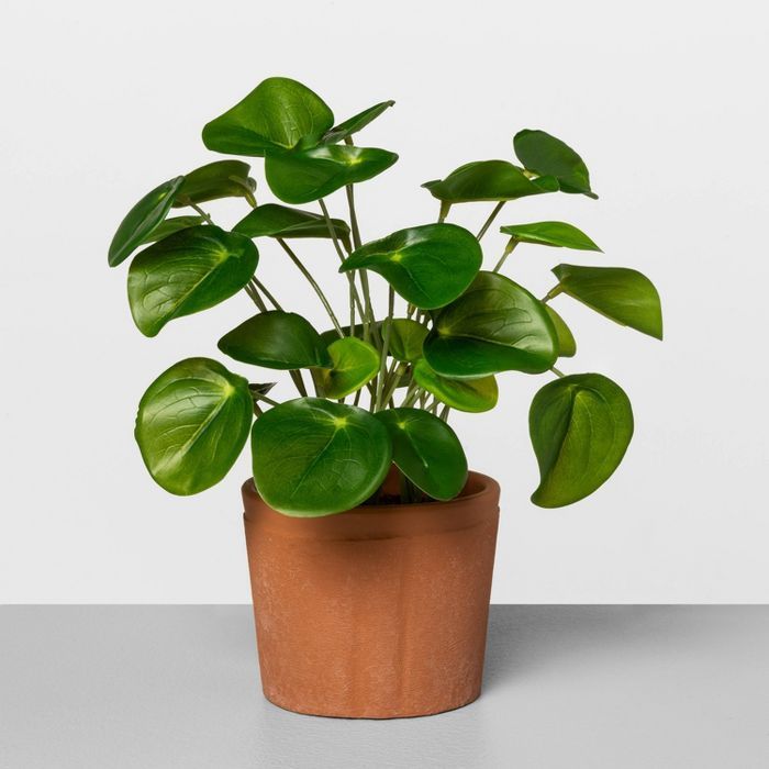 Faux Pilea Potted Plant - Hearth & Hand™ with Magnolia | Target
