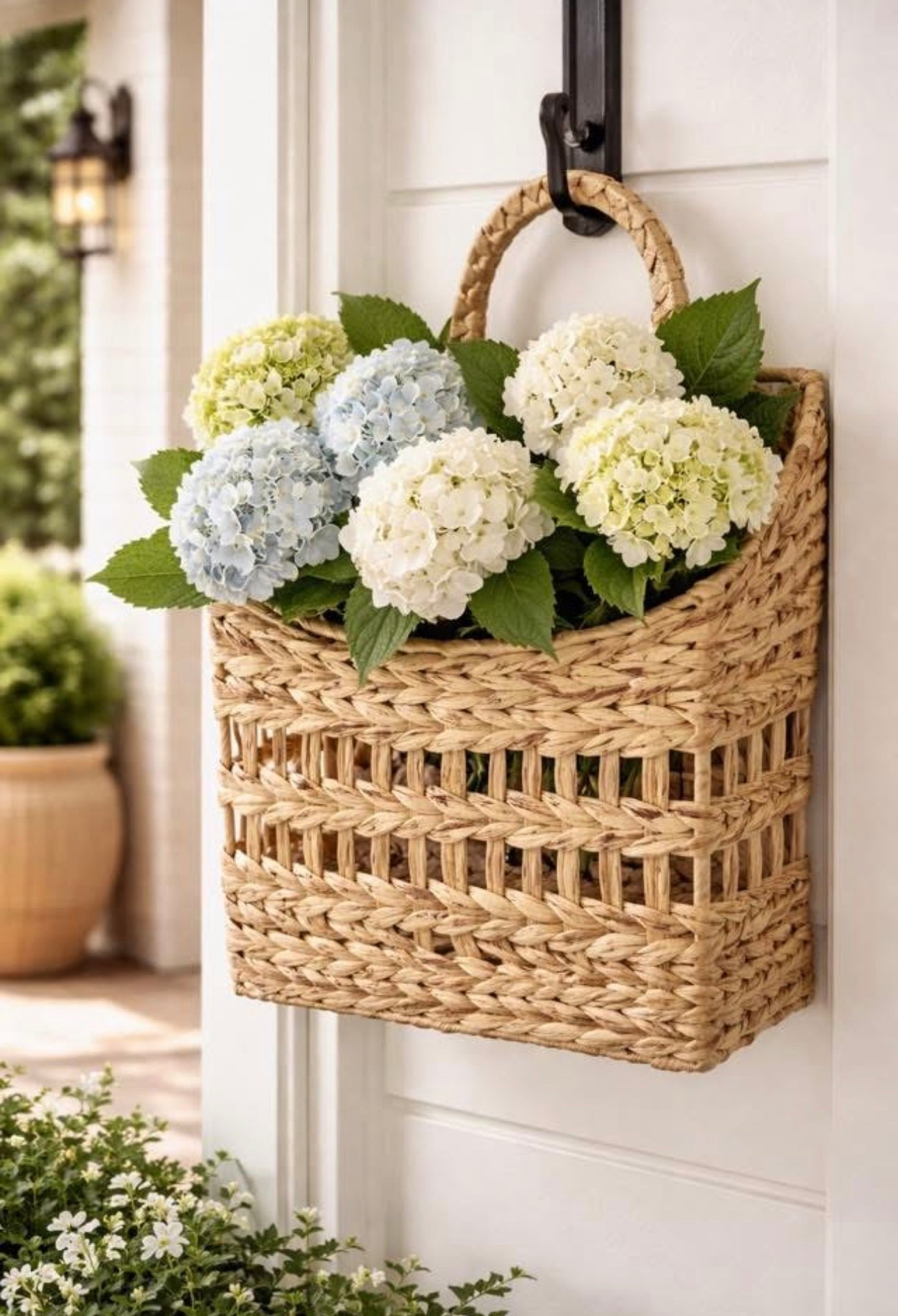 Linking some hanging basket options heree

#LTKHome #LTKSeasonal #LTKSaleAlert