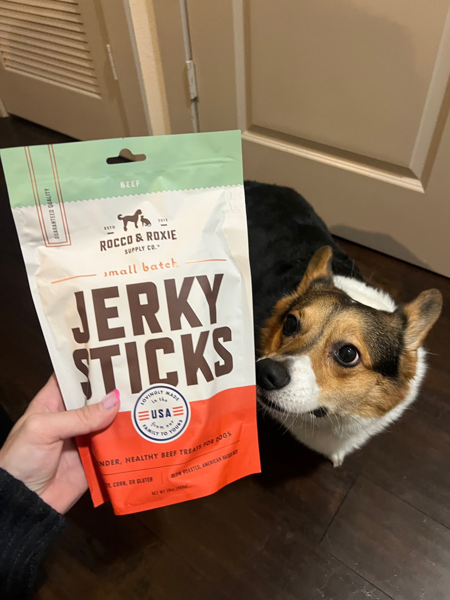 Jerky sticks are one of our favorite dog treats! Our mom uses them as a high value treat when we do something extra good🩵

#LTKFindsUnder50