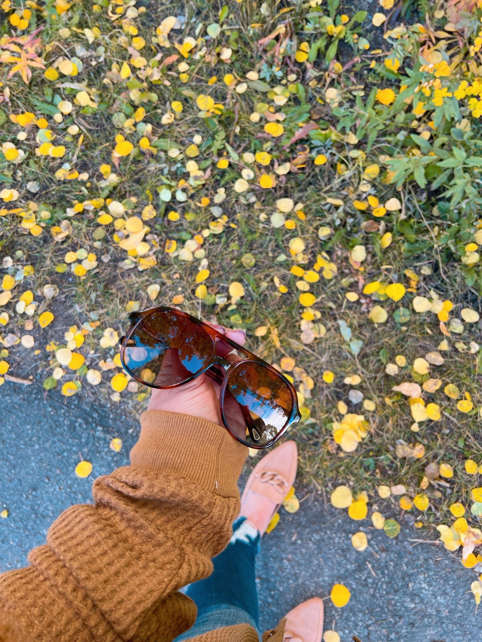 These sunnies are the cutest 🤎 sunnies | amazon sunnies | sunglasses | amazon sunglasses 

#LTKSeasonal #LTKfindsunder50 #LTKxPrime