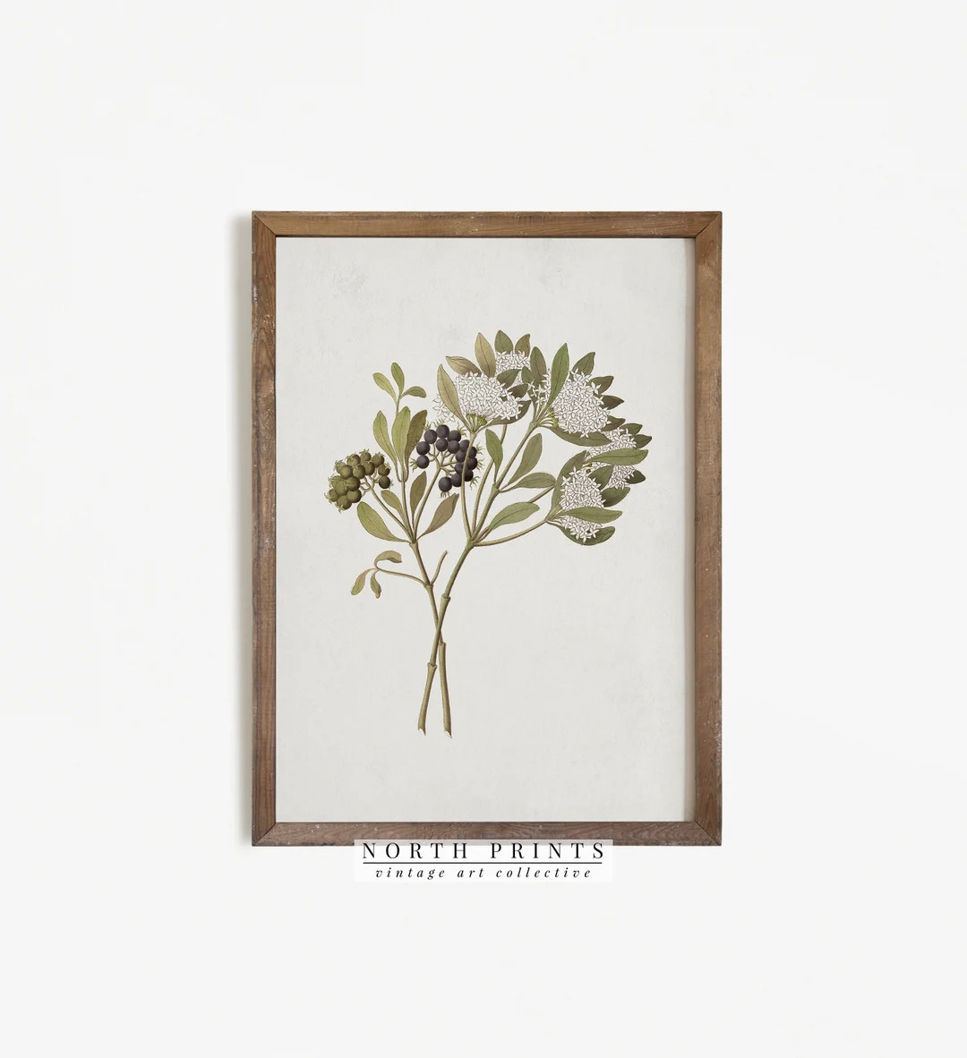 Botanical Farmhouse Decor | Vintage Flower Painting | Kitchen Decor PRINTABLE | 795 | Etsy (US)