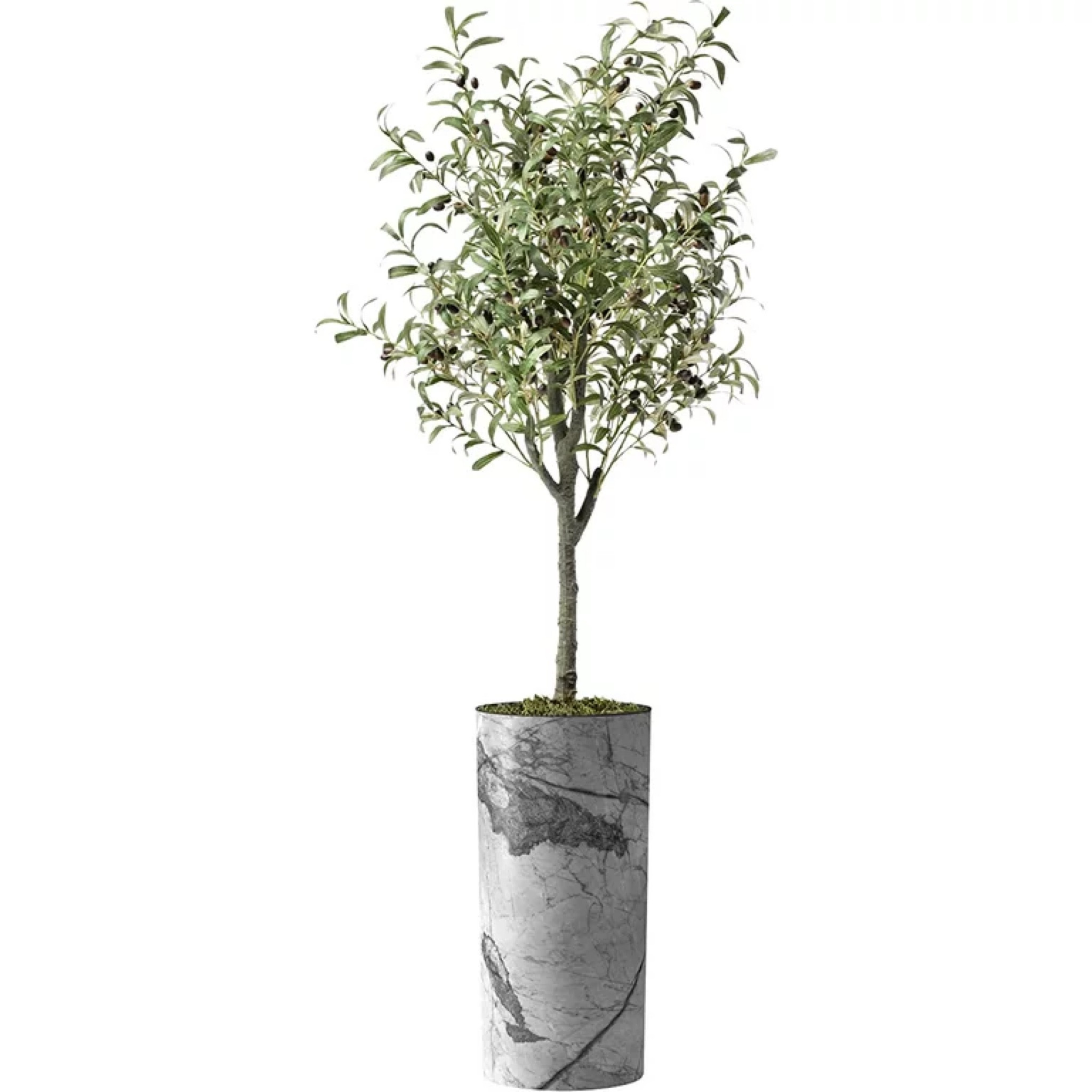 Olive tree, fake plant, indoor plant, Fake Olive Silk Tree for Indoor and Outdoor Home Decoration, modern, mid century, farmhouse, grandmillennial 

#anthropologie #fashion #anthropologiehome #style #freepeople #ootd #homedecor #anthropology #blogger #interiordesign #anthro #boho #nordstrom #designer #apartmenttherapy #bohostyle #bohodecor #myanthropologie #chic #sodomino #fashionblogger #vintage #bohochic #fallfashion #dior #prada #gucci #ltk #ltkunder #ltkfashion #liketkit #ltkstyletip #ootd #liketoknowit #ltkhome #ltkstyle #fashion #fashionblogger #k #style #ltksalealert #fallfashion #targetstyle #ltkit #styleinspo #fashionover #blogger #ltkshoecrush #ltkfamily #ltkkids #ltkfall #target #amazonfashion #targetfinds #influencer #ltkcurves #farmhouse #targetfinds #amazonhome #amazonfinds #neutralhome #ltkspring #interiorstyling #targetdoesitagain #amazonhome #amazonfashion #trending #potterybarn #amazonstyle #h&m #zara #tjmaxx #celine #hermes #louisvuitton #mango #beauty #looksforless #dupes #competition #LTKFinds 

anthropologie, fashion, Anthropologie home, style, freepeople, ootd, home decor anthropology, blogger, interior design, anthro, boho, Nordstrom, designer, apartment therapy, boho style, boho decor, my Anthropologie, chic, so domino, fashionblogger, vintage, bohochic, neutral style #styleblogger #styleitdaily #newmommylife #classystyle #vacationdress #amazondress #modestdress

#grandmillennial #grandmillennialdecor #chinoiserie #grandmillennialstyle #chinoiseriechic #blueandwhiteforever #blueandwhite #chinoiseriechicstyle #traditionaldecor #blueandwhitedecor #vintage #traditionalhome #vintagedecor #interiordesign #homedecor #southernhome #grannychic #vintagefinds #grandmillenialstyle #traditionalhomedecor #southernliving #classicdecor #blueandwhitehome #preppydecor #curateyourspace #antiques #shopvintage #decor #allaboutthemix

#styleblogger #newmommylife #classystyle #jcrew #teacheroutfit


#LTKfindsunder100 #LTKstyletip #LTKhome
