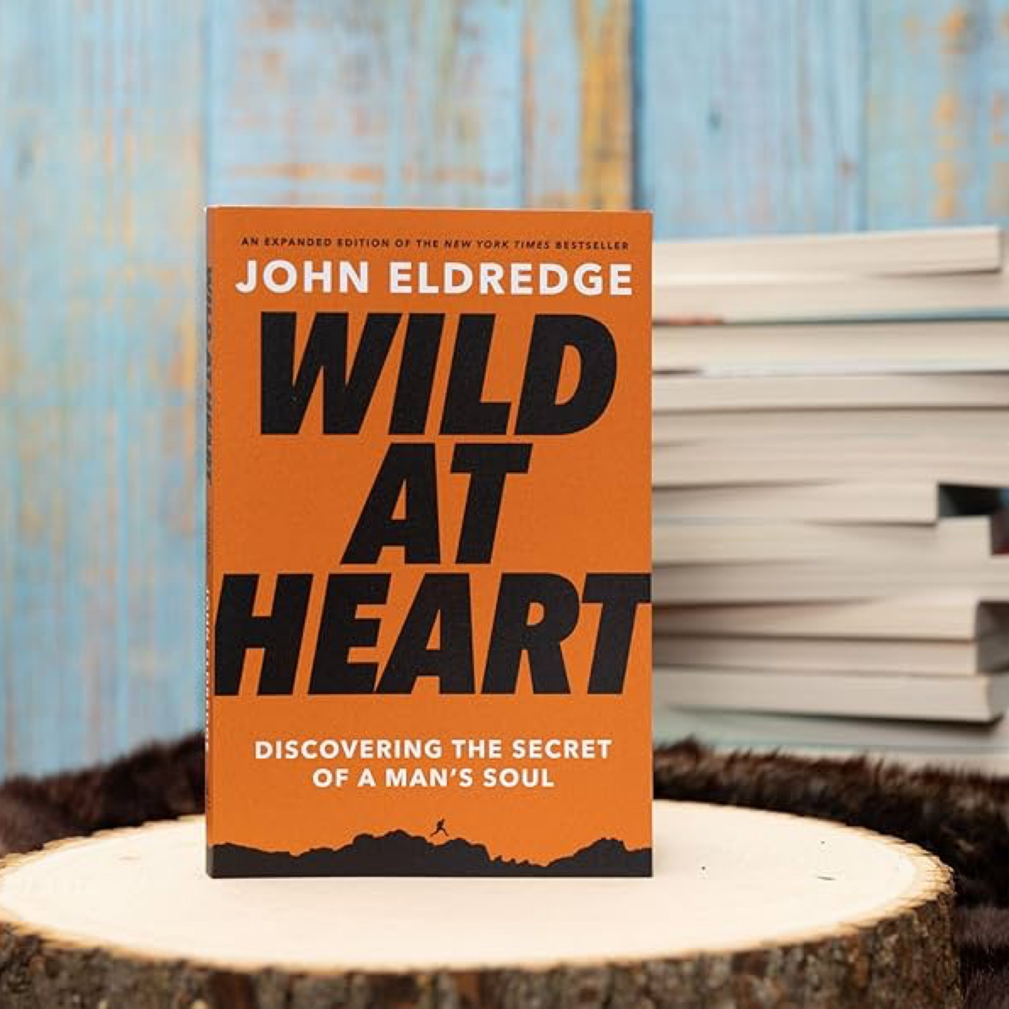 Book or Memoir with a Faith Angle
Try Wild at Heart or something from Tim Tebow—especially if he’s into sports or leadership. Grad gift for him.

#LTKGiftGuide #LTKFindsUnder50