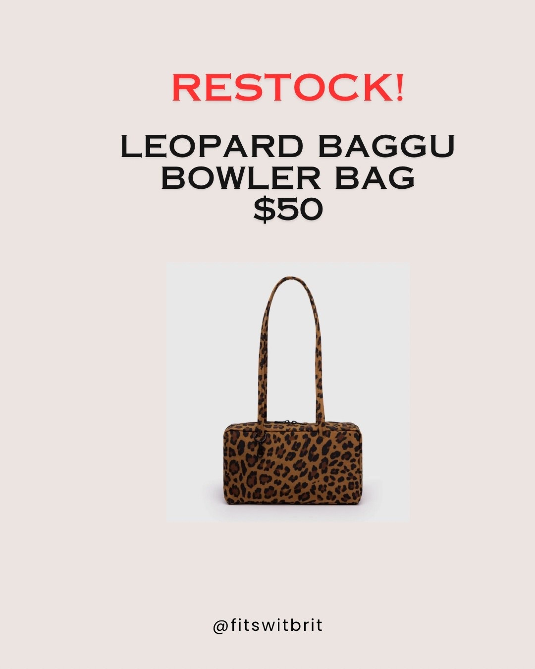 Leopard BAGGU bowler bag

#LTKItBag #LTKStyleTip #LTKFindsUnder100
