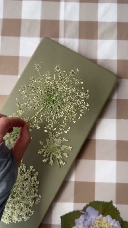 I recently found some queen Anne's lace on the side of the road in Alabama and framed it in acrylic for a hostess gift. So gorgeous!✨

Last year, I clipped some hydrangeas from my MIL's yard and made a 4-set floral gallery wall. It's really so fun to do & create your own art during the spring/ summer with fresh blooms! 🌸

Here are some tips I've learned for floral pressing:
1. Use the microfleur tool from Amazon I've linked in my storefront. It works so well
2. Use 2 small squares of wax paper in between the flower. This helps with sticking
3. Microwave in short 15 second spurts. Most flowers take around 45 seconds to dry out. Thicker flowers like hydrangeas can take longer

If you try this — tag me in your creations! Foraging and searching for flowers has been something I love to do alone and also a sweet activity for me to do with my daughter 💕

#LTKVideo #LTKSeasonal #LTKHome