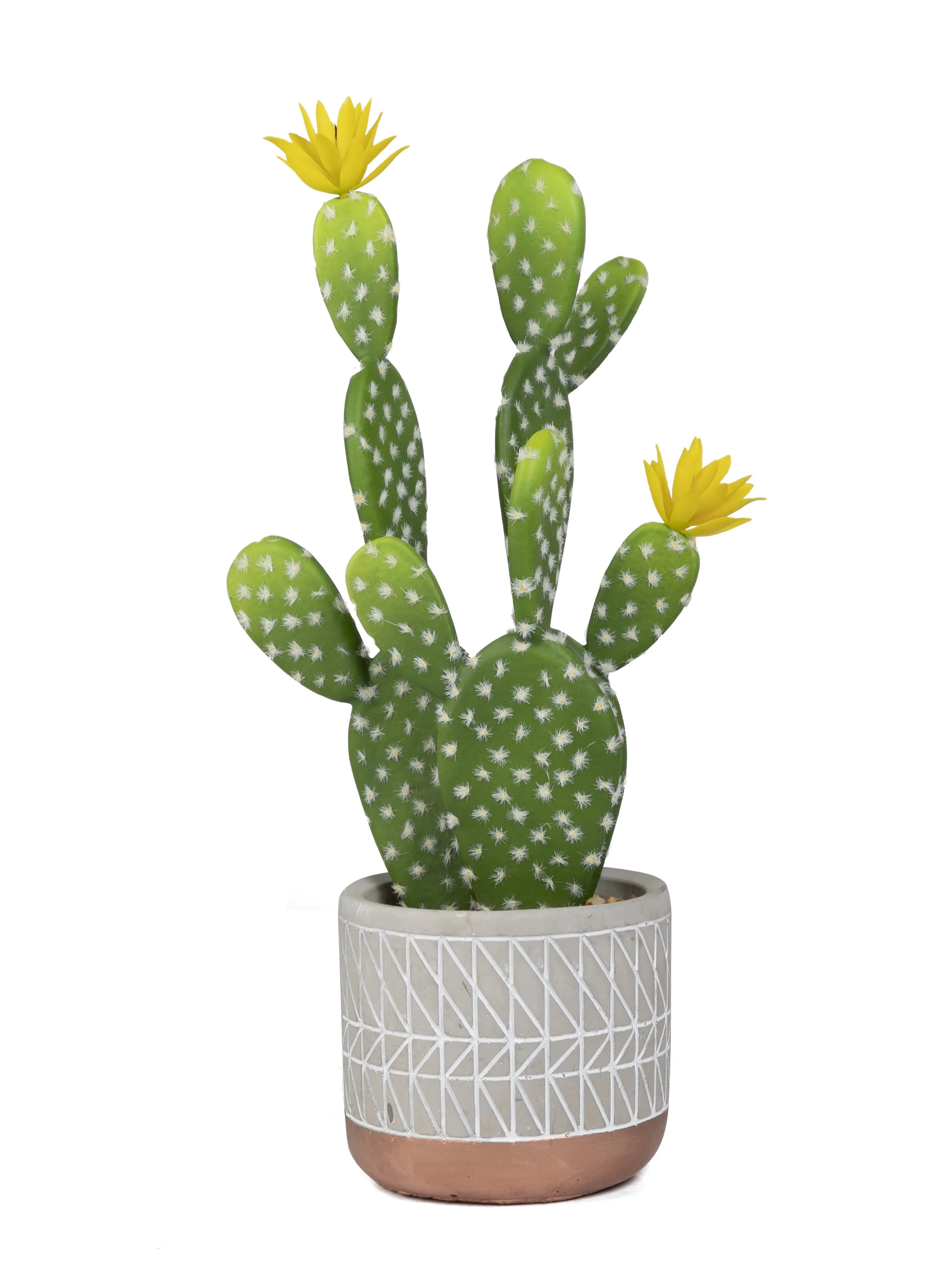 Mainstays 15.4" Artificial Cactus Succulent Plant in Cement Pot, Multicolor | Walmart (US)