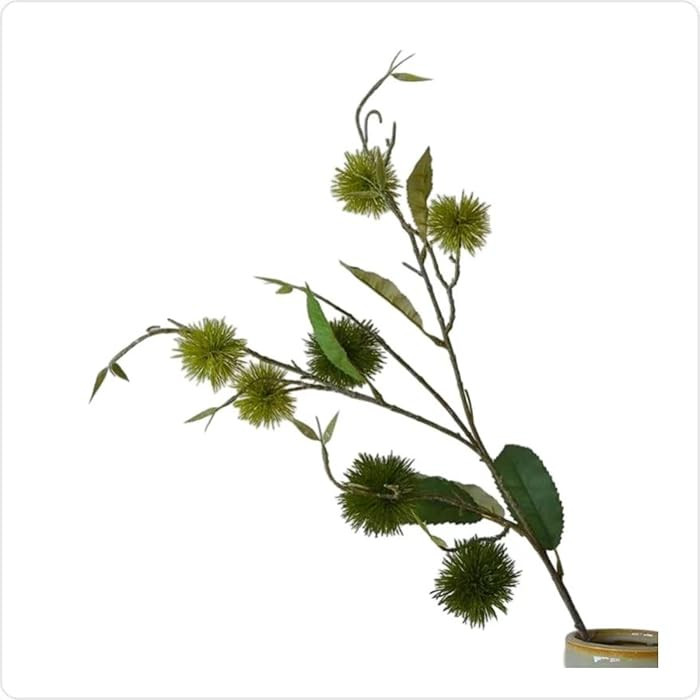 Brand: HZHANGWQI | Amazon (US)