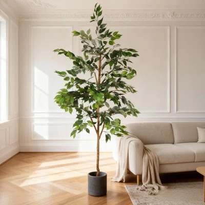 6ft Artificial Ficus Tree With Natural Real Wood Trunk, Real-touch Faux Ficus Plant For Indoor Home Office Decor - Lush Green Fake Tree, 1pc/set (low- | Wayfair North America