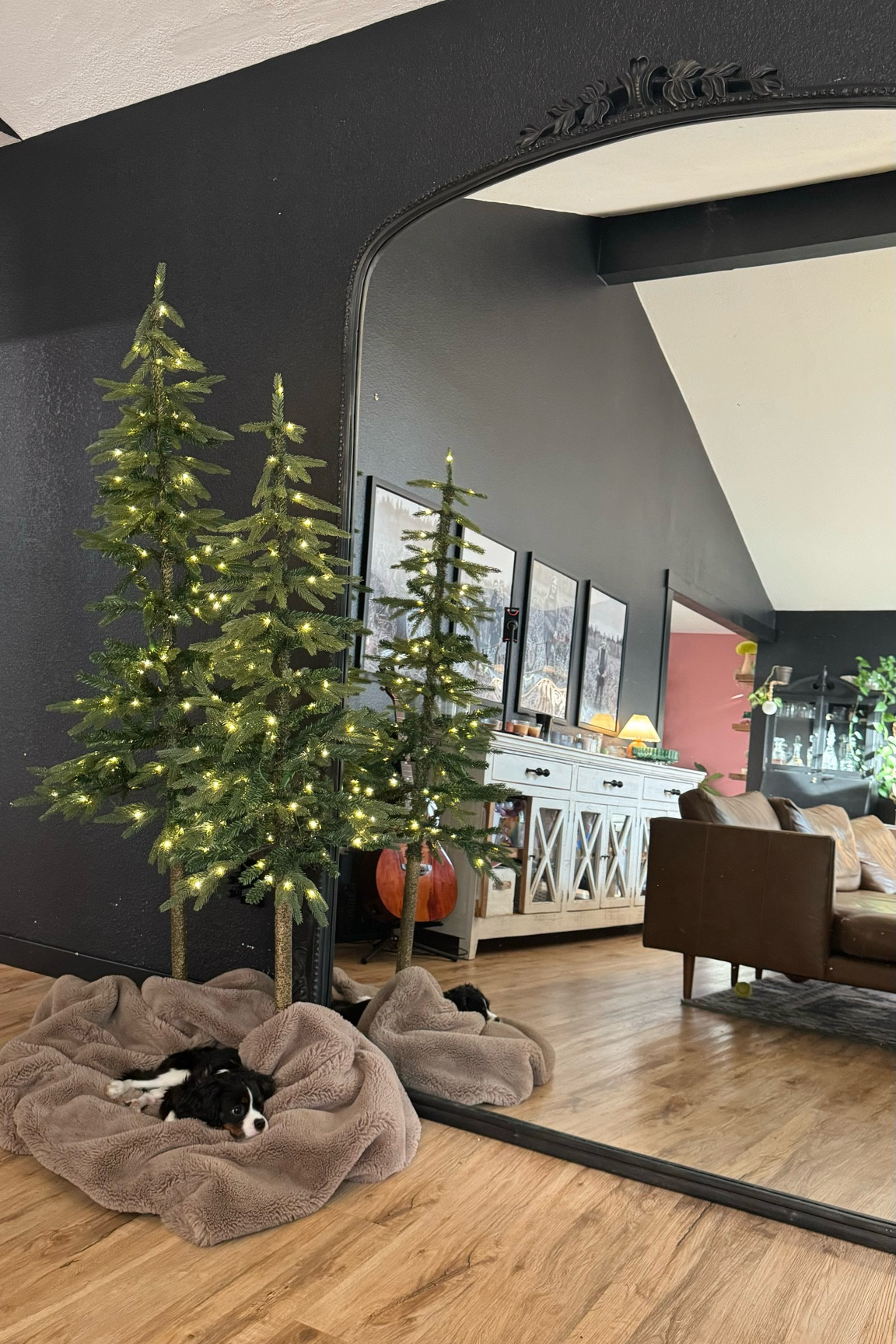 Targets viral alpine balsam fir trees are PRE LIT, come in 4,5, and 6ft height and they’re skinny enough to work in any room! 

#LTKSeasonal #LTKFindsUnder100 #LTKHome