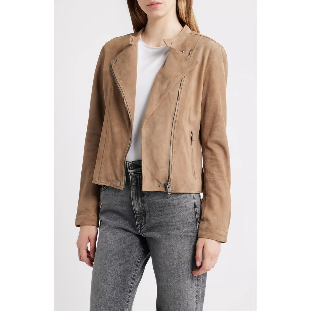 Frye Classic Biker Suede Jacket in Taupe at Nordstrom, Size Small | Nordstrom