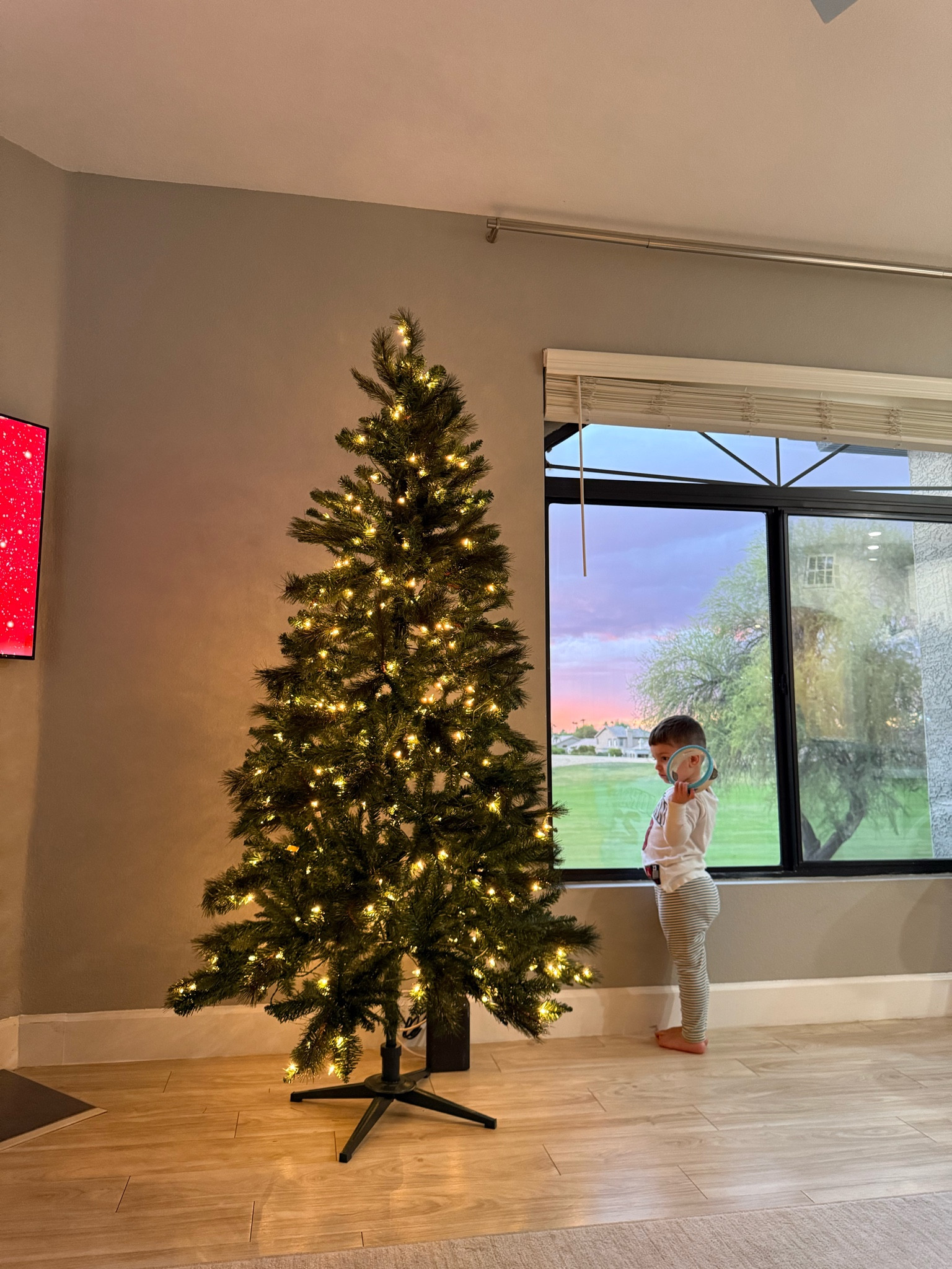Such a cute inexpensive tree 🌲 

#LTKSeasonal #LTKFamily #LTKFindsUnder100