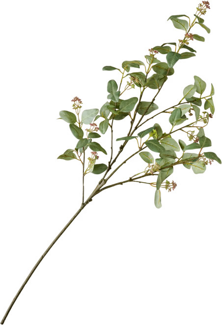 Oversized Eucalyptus Berry Branch | Magnolia