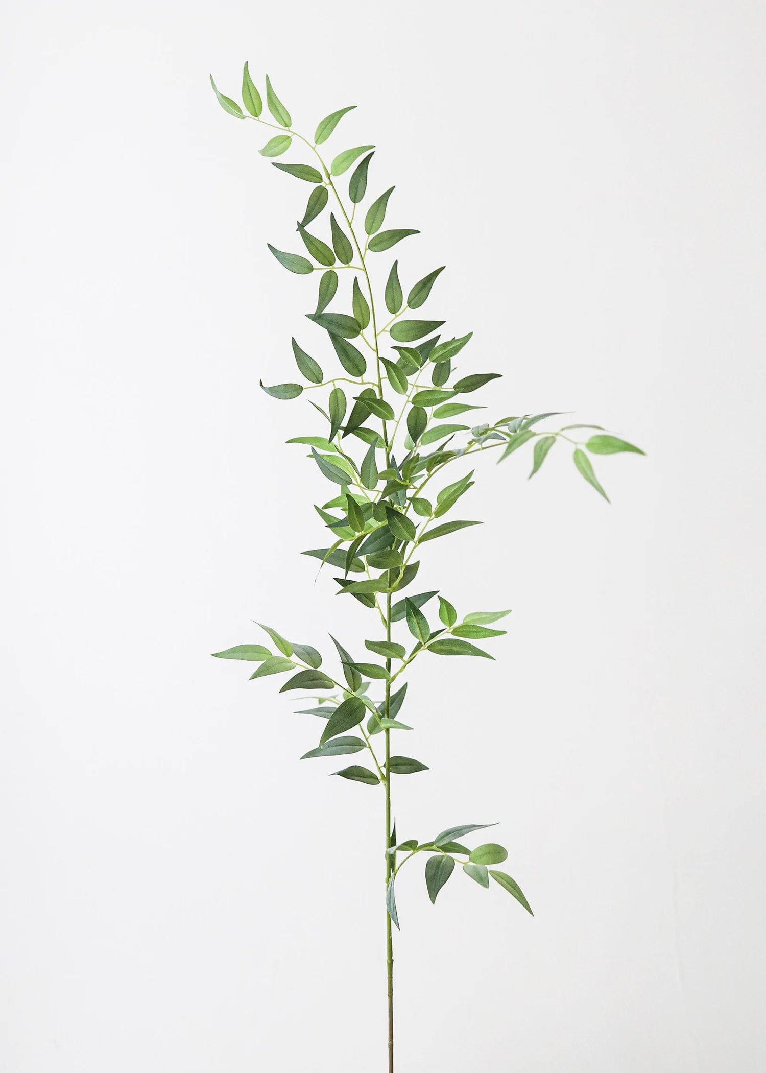 Tall Italian Ruscus Leaf Branch | Fake Leaves & Plants at Afloral.com | Afloral