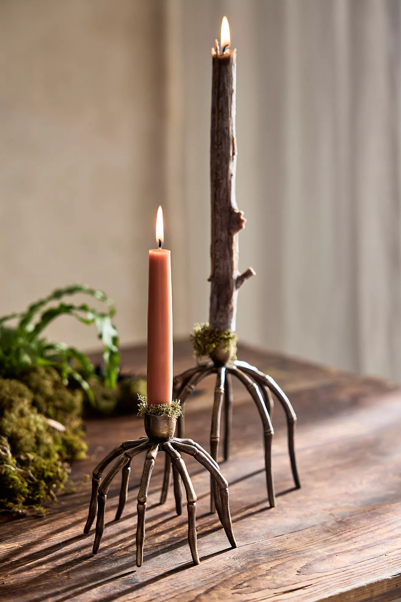 Bronze Spider Taper Holder | Anthropologie (US)