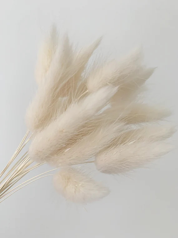 Dried Flowers  Bunny Tails Natural White Bunch of 20 Stems | Etsy | Etsy (US)
