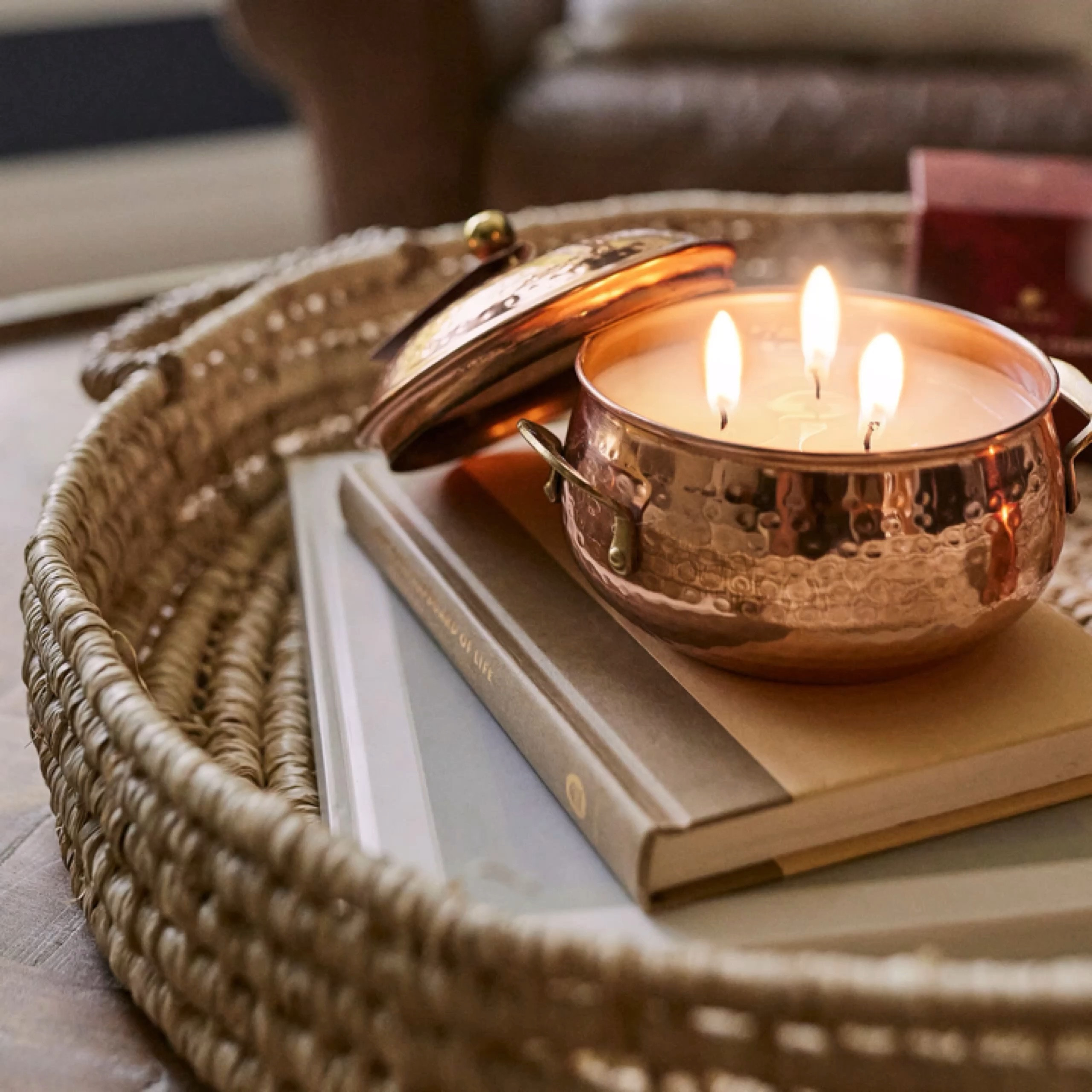 Crushed Leaves 🍁 Cozy Sweaters and Apple Scented Candles please. #fallcandle #autumn #falldecor

#LTKSeasonal #LTKStyleTip #LTKHome