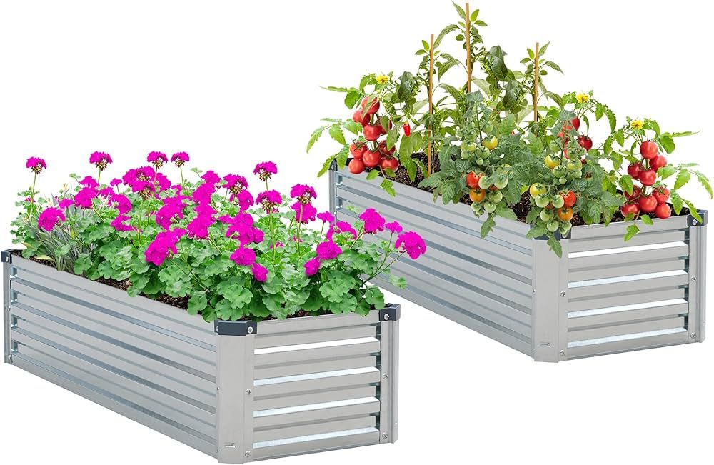 Raised Garden Bed 2 Pack Galvanized Raised Garden Beds Outdoor for Gardening Vegetable Raised Flo... | Amazon (US)