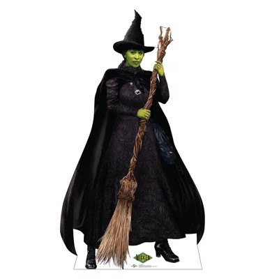 Elphaba (Wicked Movie) | Wayfair North America