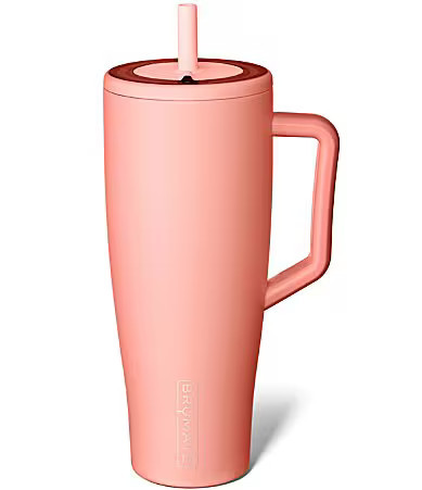 Brumate Era Solid Straw Insulated Tumbler 40 oz. - Guava | Dillard's